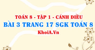 Bài 3 trang 17 SGK Toán 8 tập 1 Cánh Diều